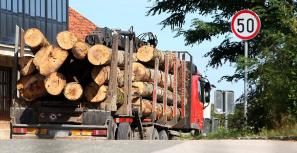 SNSD zapošljava u "Šume Srpske“