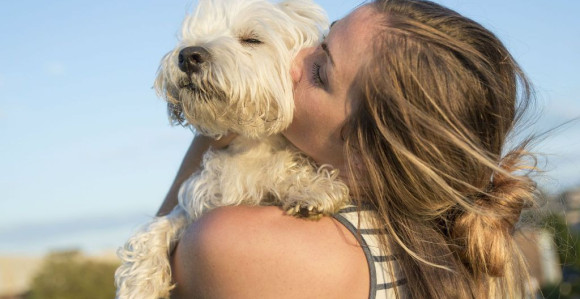 U Španiji uvode porez na kućne ljubimce