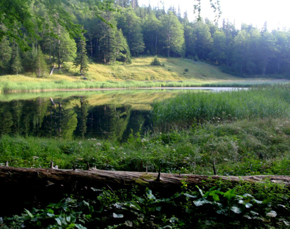 Pod minama šuma od 800 miliona KM