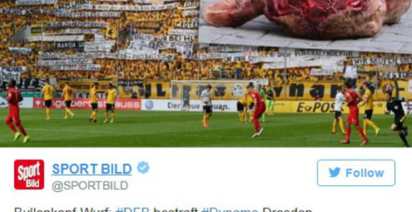Zbog glave bika Dinamo Drezden plaća 60.000 evra!