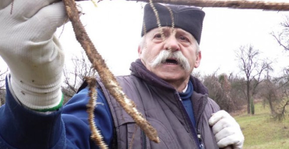 Srpski skočko bolji od vijagre!