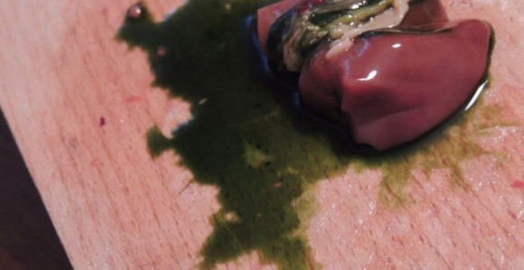 Куста нам продаје муда под бубреге