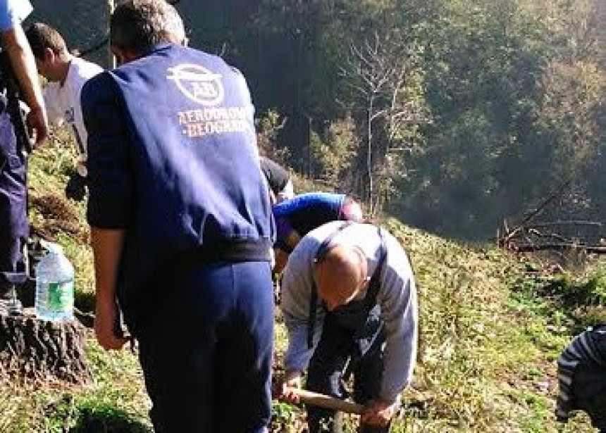 Šumsko gazdinstvo "Boranja" na nogama