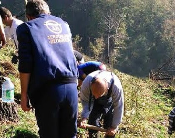 Šumsko gazdinstvo "Boranja" na nogama