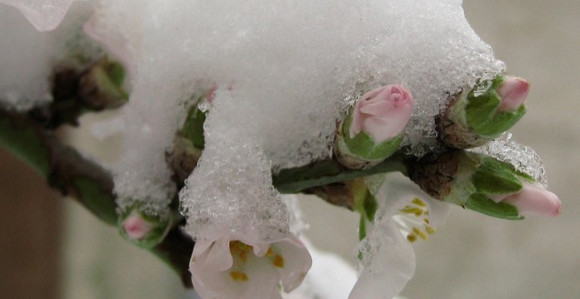 Narednih dana u BiH moguć snijeg 