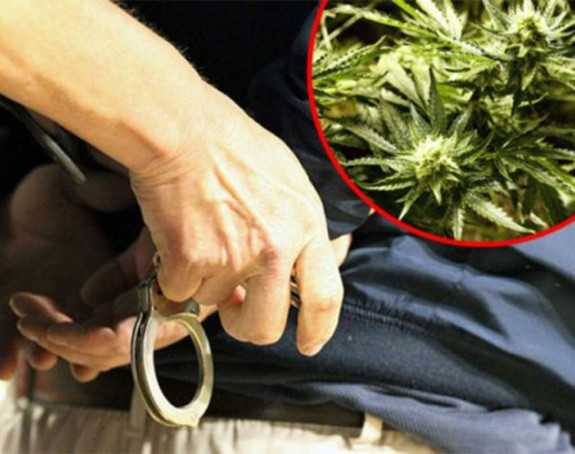 U Španiji "pali" dileri iz BiH