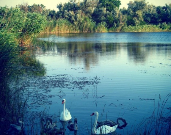 Danas sunčano i toplo: Temperatura do 27°C