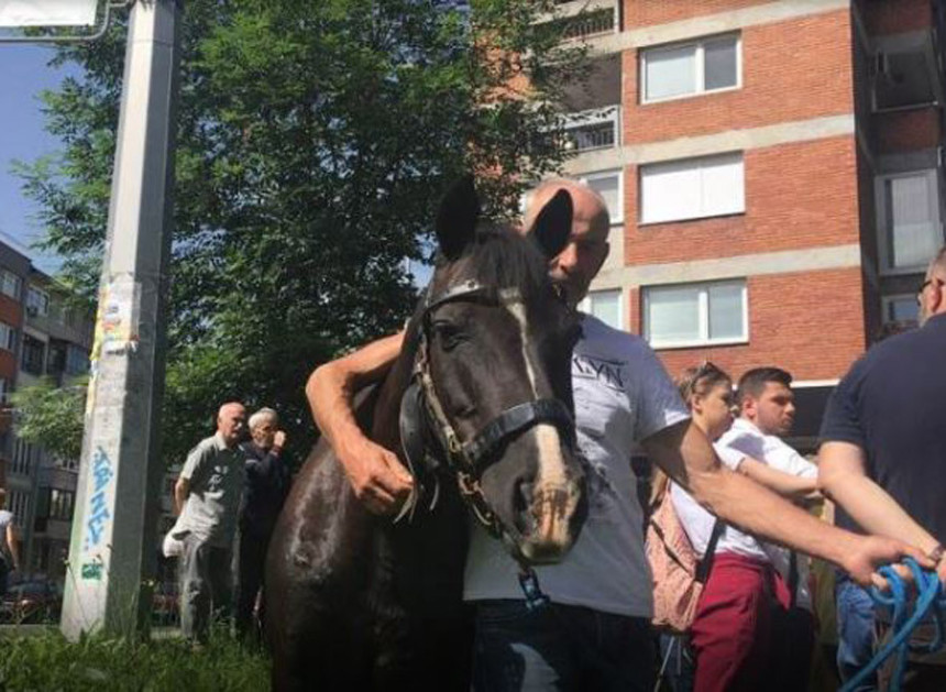 Doveden konj ispred zgrade OHR-a 