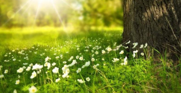 Sunčano: Sutra i do 33 stepena