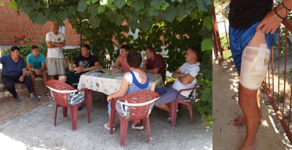 Ne zna se ko je nadležan za pse