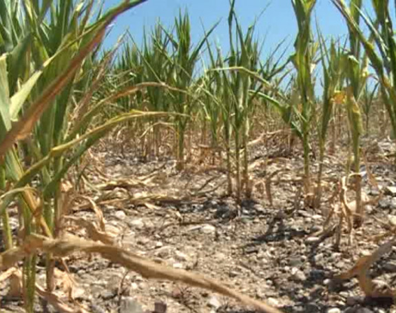 Ima li spasa za poljoprivrednike?