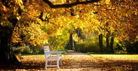 Toplo vrijeme do sredine oktobra  