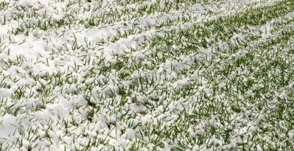 Primjena novih agrotehničkih mjera