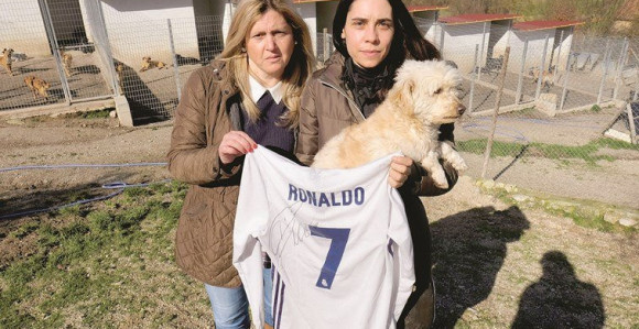 Kristijanovo veliko srce: Ovako je Ronaldo spasao 80 kučića...!