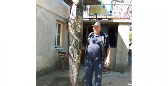 Bileća: Ulovio soma od 85 kg