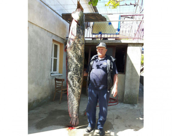 Bileća: Ulovio soma od 85 kg