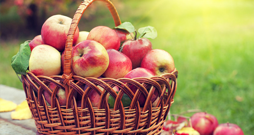 Može li jabuka rasterati doktore?