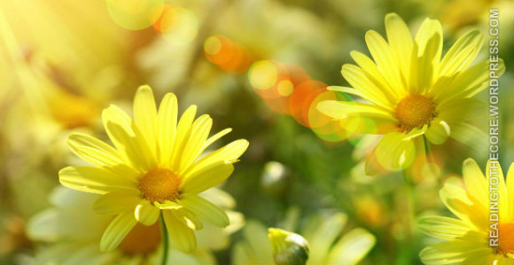 Danas sunčano vrijeme 