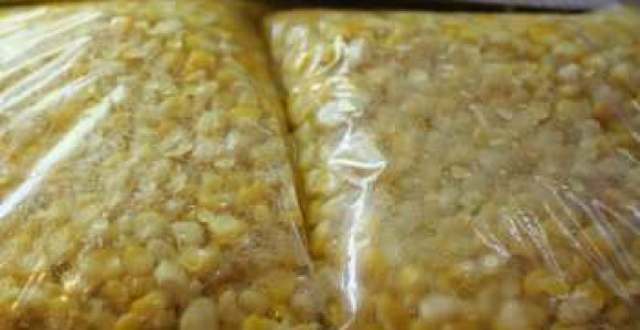 Opasna bakterija u kukuruzu