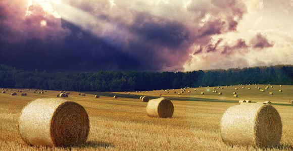 Red sunca, red oblaka i kiše...