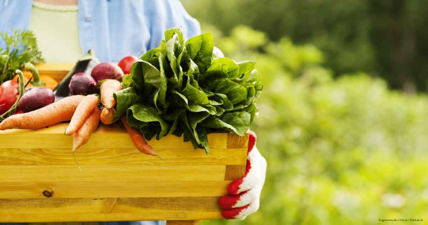 Да ли је органска храна заиста здравија?