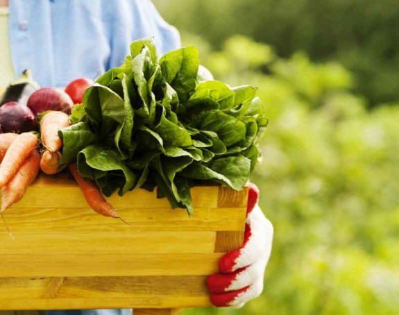 Да ли је органска храна заиста здравија?