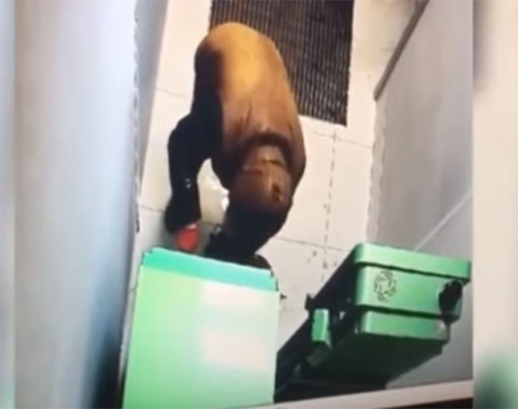 Poginuo u krađi, umjesto bankomata raznio sebe
