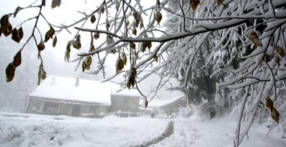 Srbija: Prva žrtva hladnog talasa