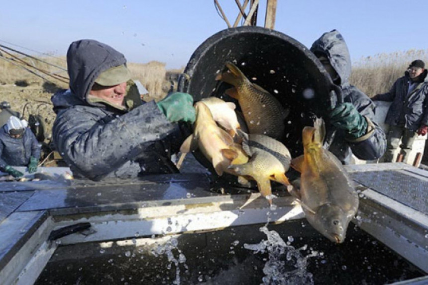 Oštetili ribnjak za 762.000 maraka