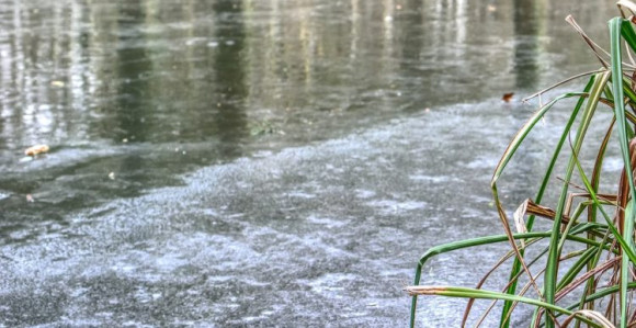 Petogodišnjak upao u Rzav