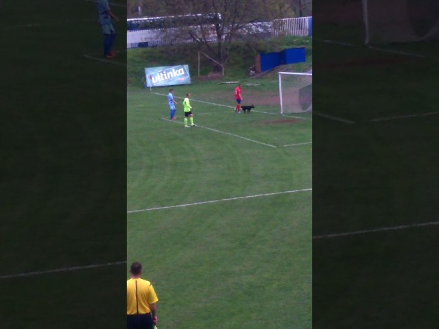 Video: ''Huligan'' prekinuo meč Drina (ZV) - Borac (BL)!
