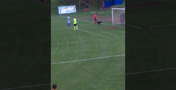 Video: ''Huligan'' prekinuo meč Drina (ZV) - Borac (BL)!