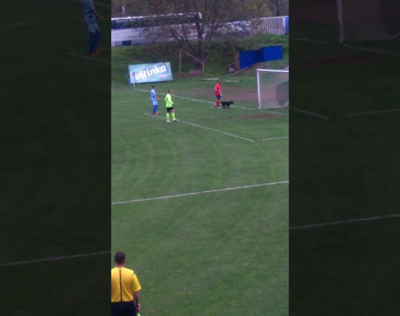 Video: ''Huligan'' prekinuo meč Drina (ZV) - Borac (BL)!