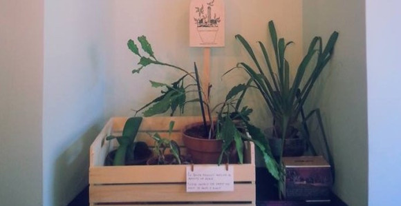 Ljubljana ima azil za odbačene biljke?!