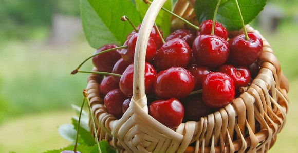 Trešnje za detoksikaciju