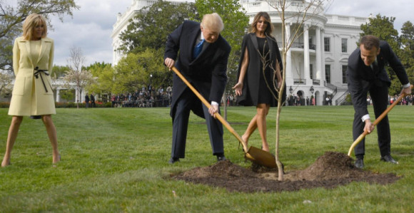 Осушило се дрво пријатељства 