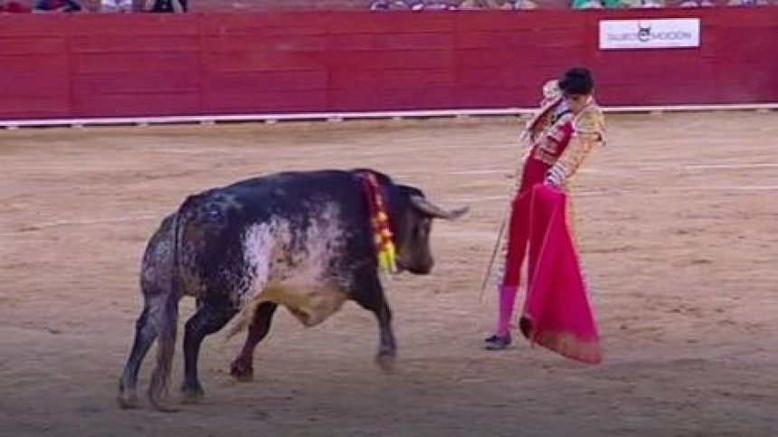 Matador poginuo u borbi s bikom