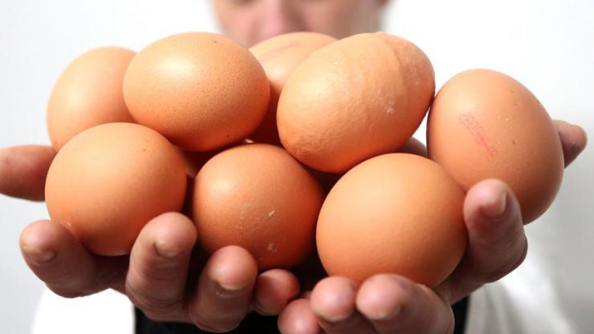 BiH odobren izvoz jaja u EU