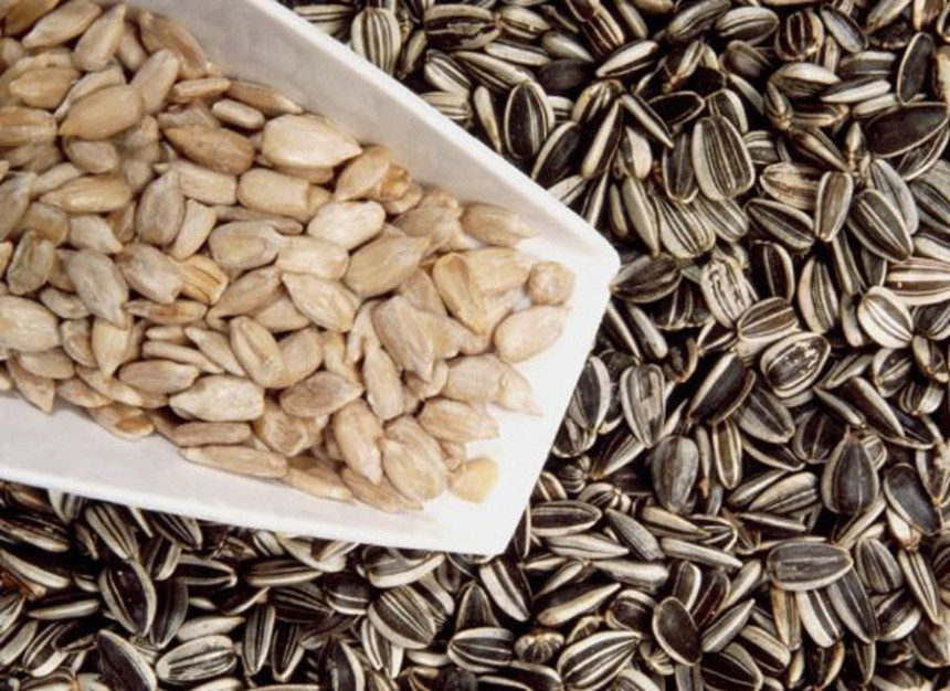 Zabranjen uvoz sjemenki iz Srbije