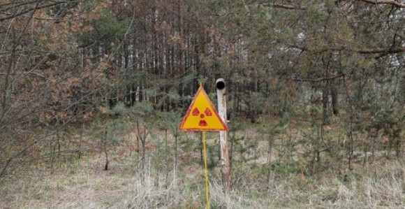 Kako Černobil izgleda danas?