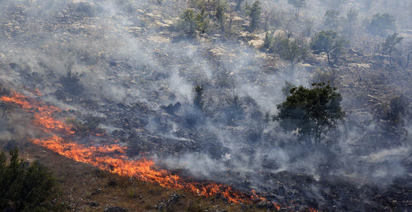 Gori na Luštici, Boka u dimu