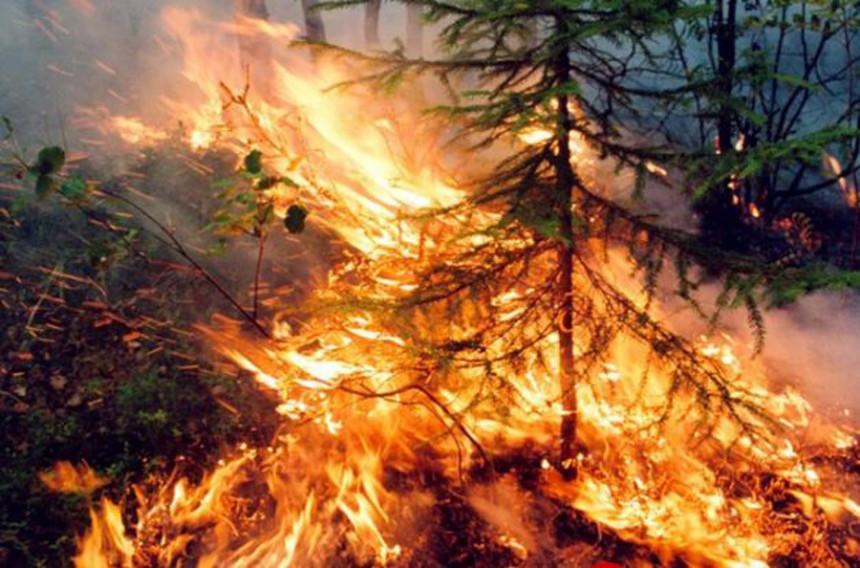 Veliki požar u Grčkoj: Vatru gasi 146 vatrogasaca