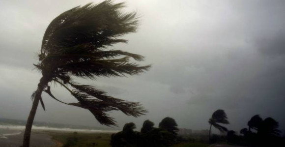 Haos na Floridi: Voda do 45 dolara