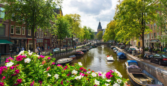 Kako je uspjela zemlja tulipana?