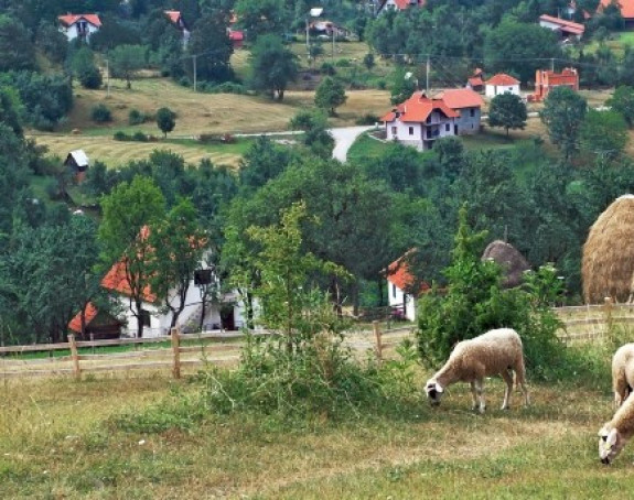Sedam razloga da odmah odete na selo
