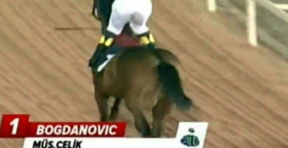 Čije ime nosi konj Bogdanović - Bojan ili Bogdan?!