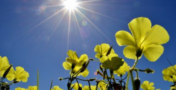 Danas pretežno sunčano vrijeme