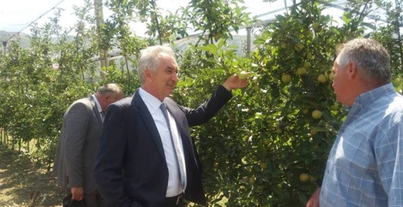 Šarović: Dobra vijest za voćare