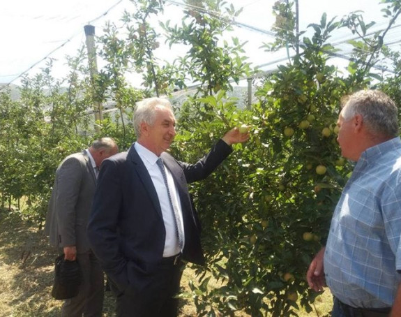 Šarović: Dobra vijest za voćare