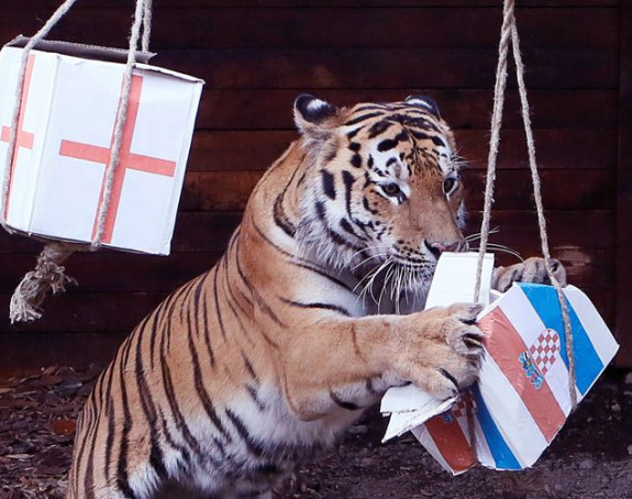 Pipine čudesne seanse i superatleta sa dečijim likom...